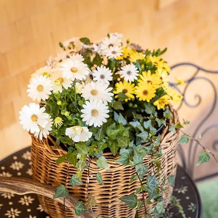 Apartment Haus Amatschon